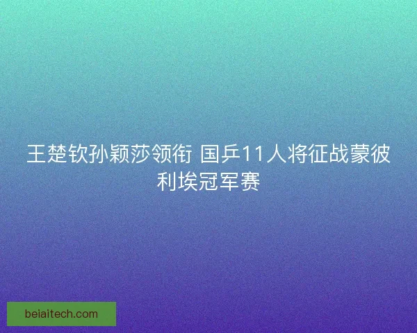 王楚钦孙颖莎领衔 国乒11人将征战蒙彼利埃冠军赛 王楚钦孙颖莎领衔 国乒11人将征战蒙彼利埃冠军赛