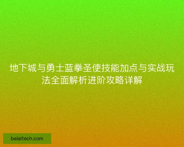 地下城与勇士蓝拳圣使技能加点与实战玩法全面解析进阶攻略详解