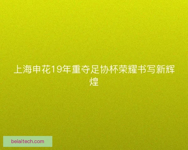 上海申花19年重夺足协杯荣耀书写新辉煌