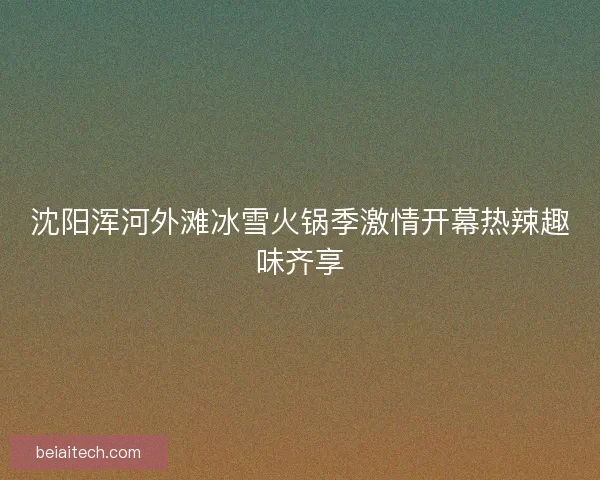 沈阳浑河外滩冰雪火锅季激情开幕热辣趣味齐享